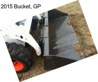 2015 Bucket, GP