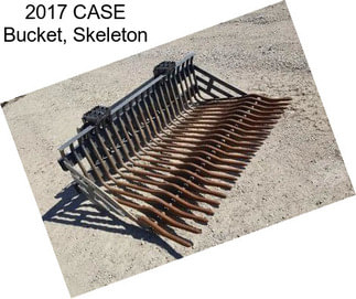 2017 CASE Bucket, Skeleton