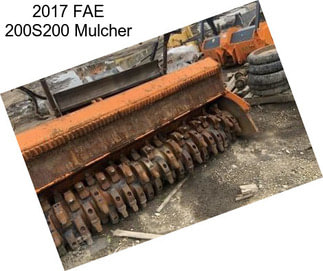 2017 FAE 200S200 Mulcher