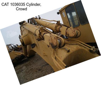 CAT 1036035 Cylinder, Crowd