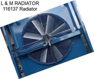 L & M RADIATOR 116137 Radiator