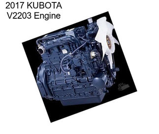 2017 KUBOTA V2203 Engine
