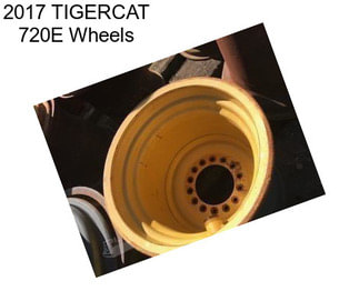 2017 TIGERCAT 720E Wheels