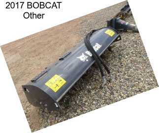 2017 BOBCAT Other