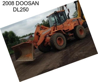 2008 DOOSAN DL250