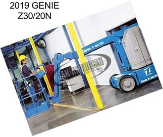 2019 GENIE Z30/20N