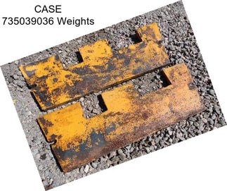 CASE 735039036 Weights