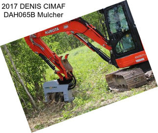 2017 DENIS CIMAF DAH065B Mulcher