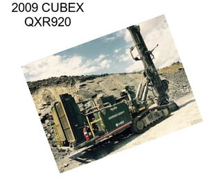 2009 CUBEX QXR920