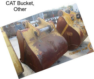 CAT Bucket, Other