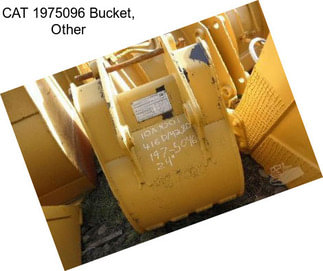 CAT 1975096 Bucket, Other