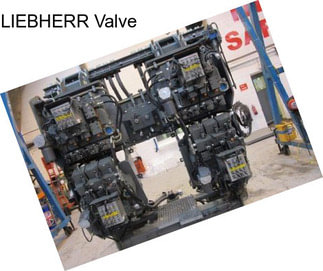 LIEBHERR Valve