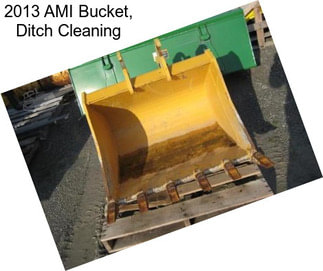 2013 AMI Bucket, Ditch Cleaning