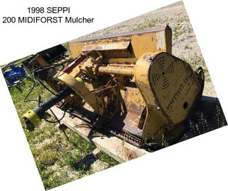 1998 SEPPI 200 MIDIFORST Mulcher
