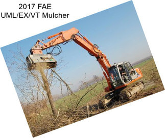 2017 FAE UML/EX/VT Mulcher