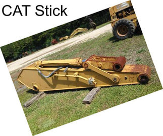 CAT Stick