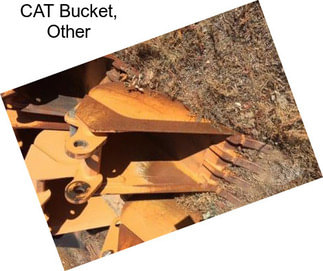 CAT Bucket, Other