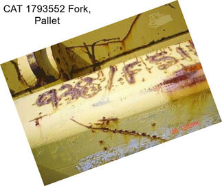 CAT 1793552 Fork, Pallet