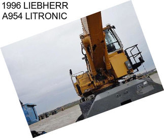 1996 LIEBHERR A954 LITRONIC