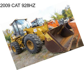 2009 CAT 928HZ