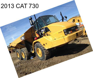 2013 CAT 730