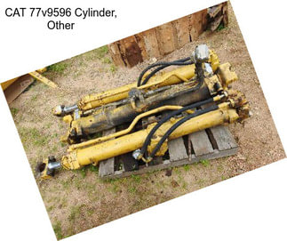 CAT 77v9596 Cylinder, Other