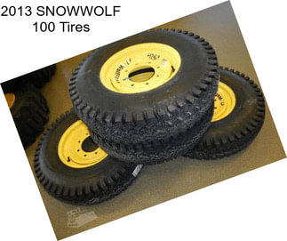 2013 SNOWWOLF 100 Tires