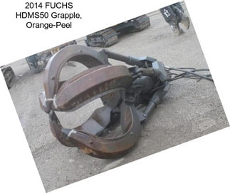 2014 FUCHS HDMS50 Grapple, Orange-Peel