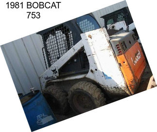 1981 BOBCAT 753