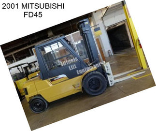 2001 MITSUBISHI FD45