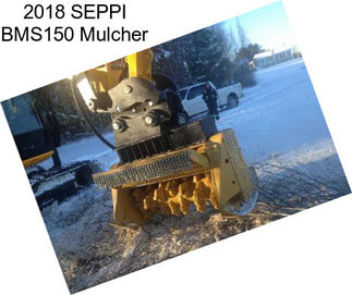 2018 SEPPI BMS150 Mulcher