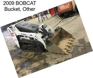 2009 BOBCAT Bucket, Other