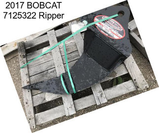 2017 BOBCAT 7125322 Ripper