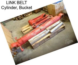 LINK BELT Cylinder, Bucket