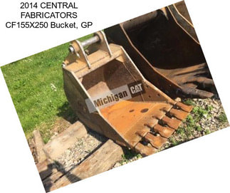 2014 CENTRAL FABRICATORS CF155X250 Bucket, GP