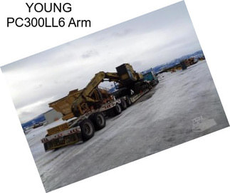 YOUNG PC300LL6 Arm