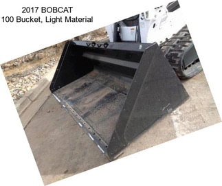 2017 BOBCAT 100\