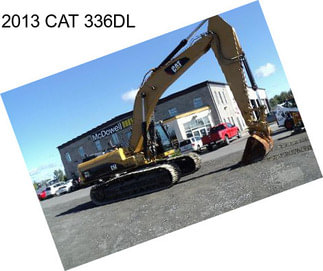 2013 CAT 336DL