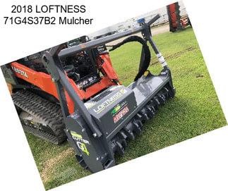 2018 LOFTNESS 71G4S37B2 Mulcher