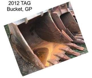 2012 TAG Bucket, GP