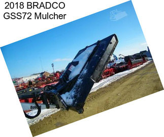 2018 BRADCO GSS72 Mulcher