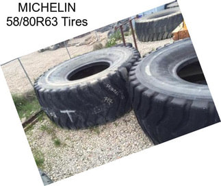 MICHELIN 58/80R63 Tires