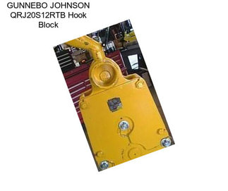 GUNNEBO JOHNSON QRJ20S12RTB Hook Block