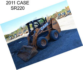 2011 CASE SR220