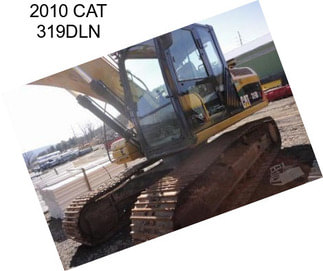 2010 CAT 319DLN