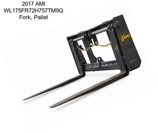 2017 AMI WL175FR72H757TM9Q Fork, Pallet