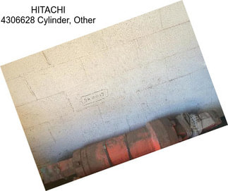 HITACHI 4306628 Cylinder, Other