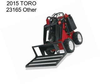 2015 TORO 23165 Other