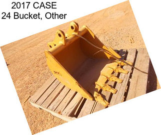 2017 CASE 24 Bucket, Other