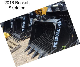 2018 Bucket, Skeleton